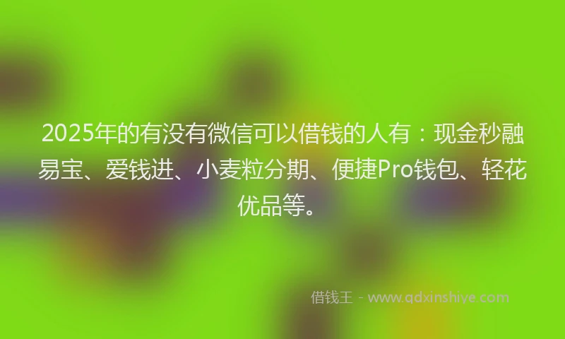 2025年的有没有微信可以借钱的人有：现金秒融易宝、爱钱进、小麦粒分期、便捷Pro钱包、轻花优品等。