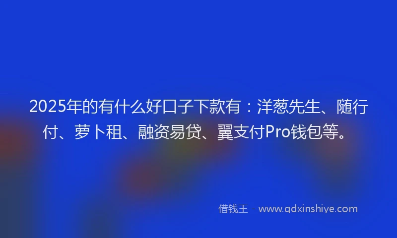 2025年的有什么好口子下款有：洋葱先生、随行付、萝卜租、融资易贷、翼支付Pro钱包等。