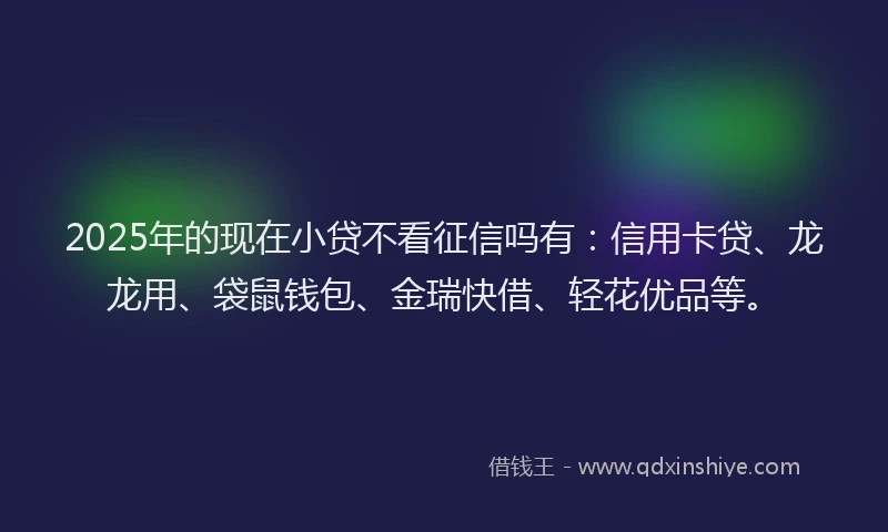 2025年的现在小贷不看征信吗有：信用卡贷、龙龙用、袋鼠钱包、金瑞快借、轻花优品等。