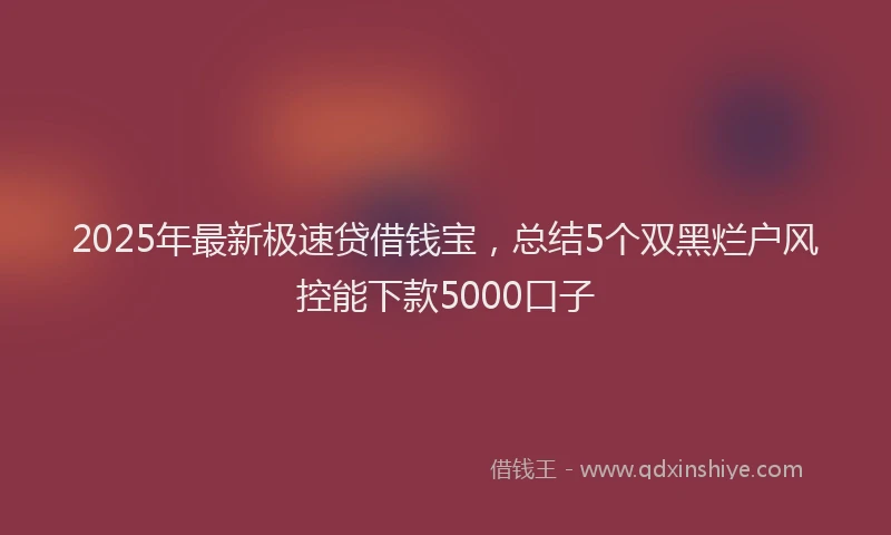 2025年最新极速贷借钱宝，总结5个双黑烂户风控能下款5000口子