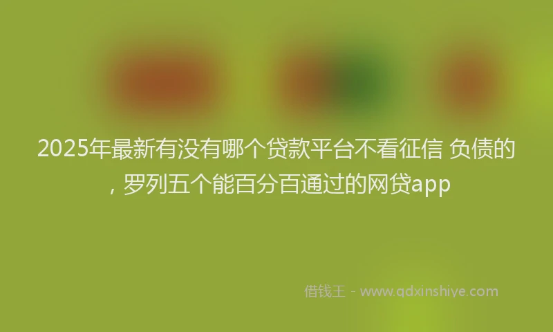 2025年最新有没有哪个贷款平台不看征信 负债的，罗列五个能百分百通过的网贷app
