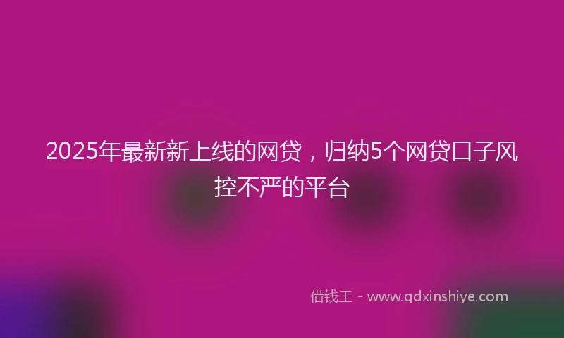 2025年最新新上线的网贷，归纳5个网贷口子风控不严的平台