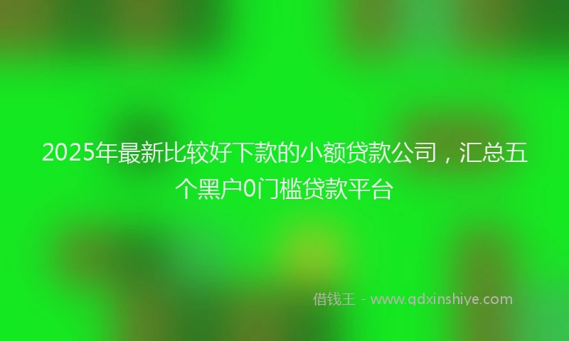 2025年最新比较好下款的小额贷款公司，汇总五个黑户0门槛贷款平台