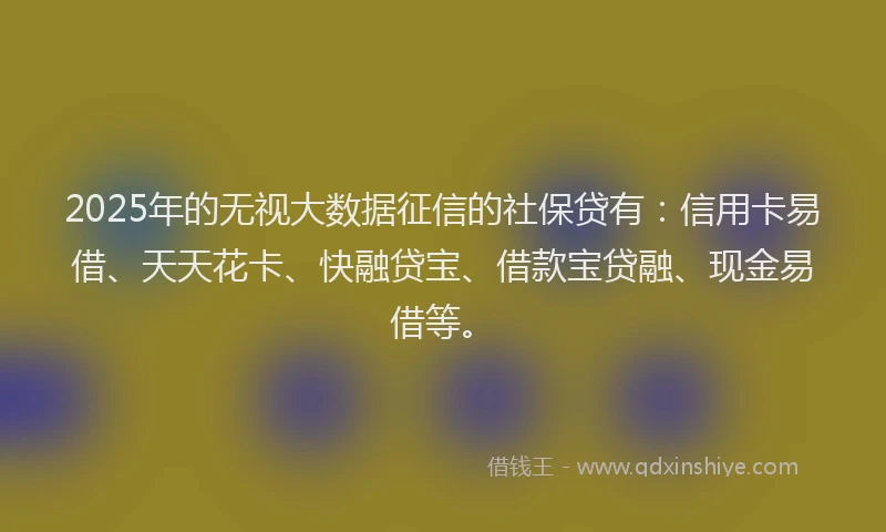 2025年的无视大数据征信的社保贷有：信用卡易借、天天花卡、快融贷宝、借款宝贷融、现金易借等。