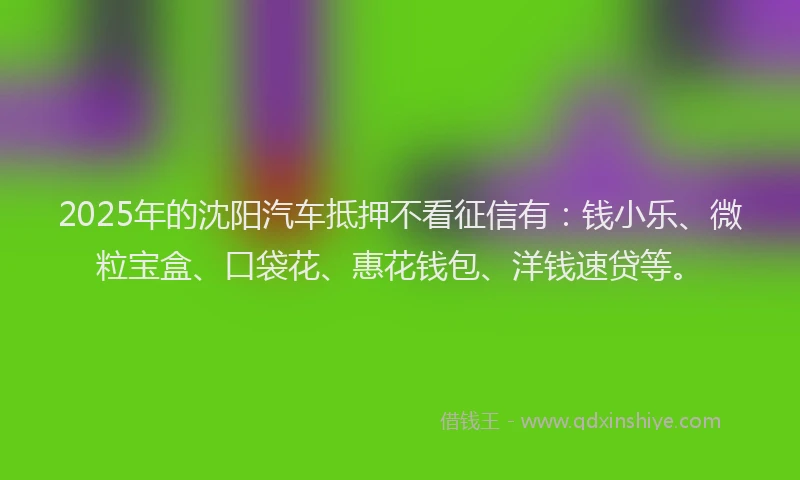 2025年的沈阳汽车抵押不看征信有：钱小乐、微粒宝盒、口袋花、惠花钱包、洋钱速贷等。
