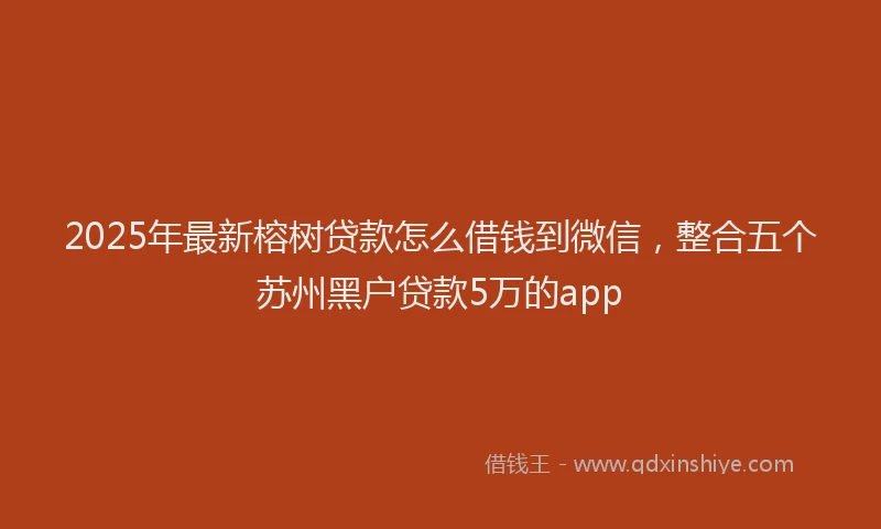 2025年最新榕树贷款怎么借钱到微信，整合五个苏州黑户贷款5万的app