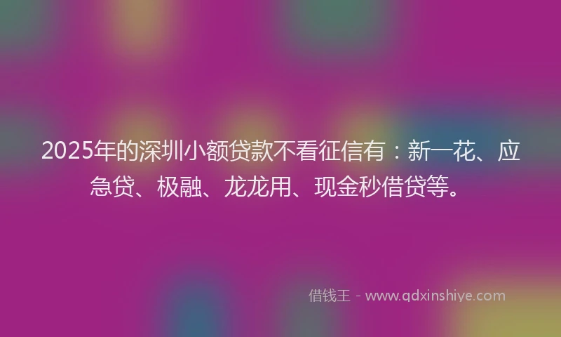 2025年的深圳小额贷款不看征信有：新一花、应急贷、极融、龙龙用、现金秒借贷等。