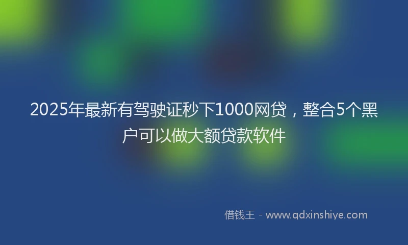 2025年最新有驾驶证秒下1000网贷，整合5个黑户可以做大额贷款软件