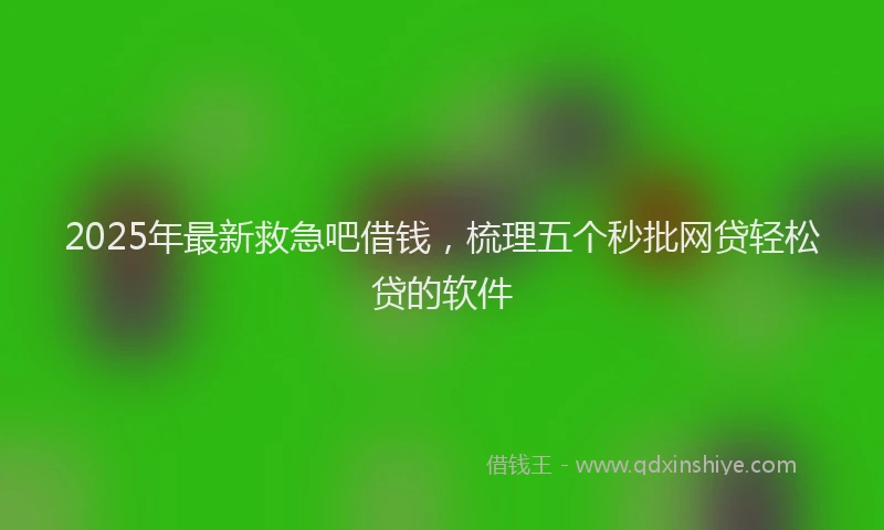 2025年最新救急吧借钱，梳理五个秒批网贷轻松贷的软件