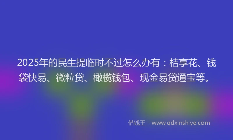 2025年的民生提临时不过怎么办有：桔享花、钱袋快易、微粒贷、橄榄钱包、现金易贷通宝等。