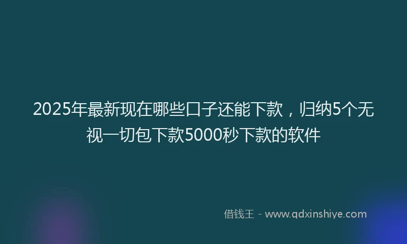 2025年最新现在哪些口子还能下款，归纳5个无视一切包下款5000秒下款的软件