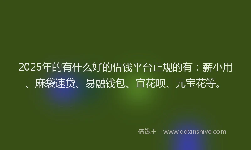 2025年的有什么好的借钱平台正规的有：薪小用、麻袋速贷、易融钱包、宜花呗、元宝花等。