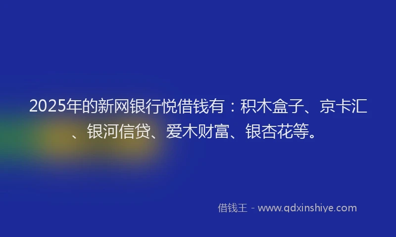 2025年的新网银行悦借钱有：积木盒子、京卡汇、银河信贷、爱木财富、银杏花等。