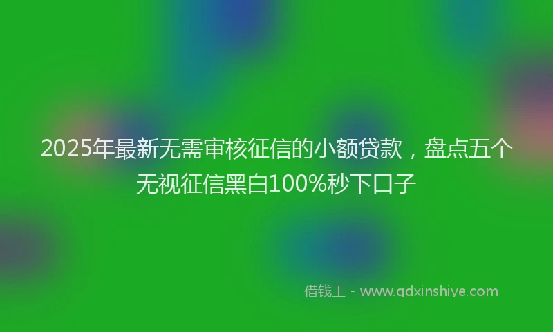 2025年最新无需审核征信的小额贷款，盘点五个无视征信黑白100%秒下口子