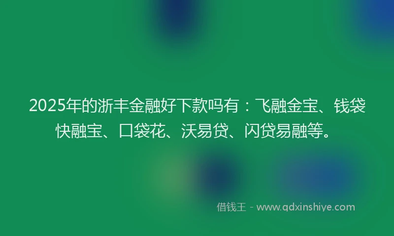 2025年的浙丰金融好下款吗有：飞融金宝、钱袋快融宝、口袋花、沃易贷、闪贷易融等。