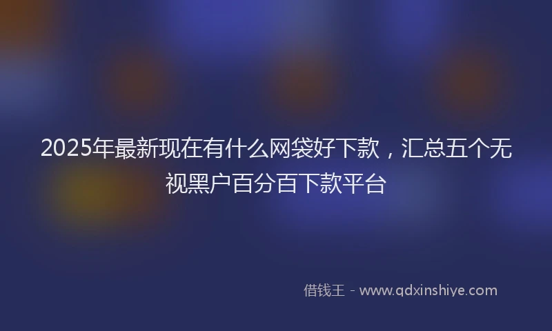 2025年最新现在有什么网袋好下款，汇总五个无视黑户百分百下款平台