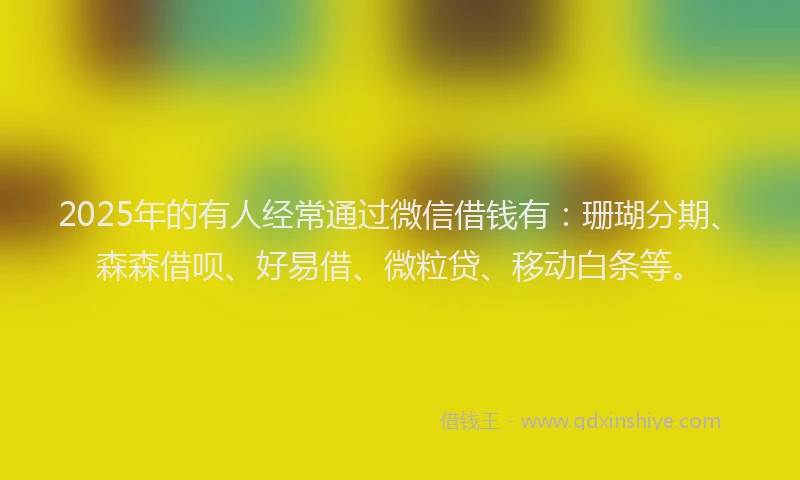 2025年的有人经常通过微信借钱有：珊瑚分期、森森借呗、好易借、微粒贷、移动白条等。
