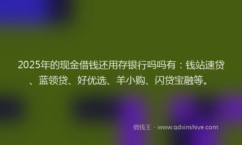 2025年的现金借钱还用存银行吗吗有：钱站速贷、蓝领贷、好优选、羊小购、闪贷宝融等。