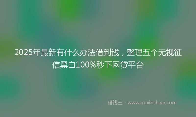 2025年最新有什么办法借到钱，整理五个无视征信黑白100%秒下网贷平台