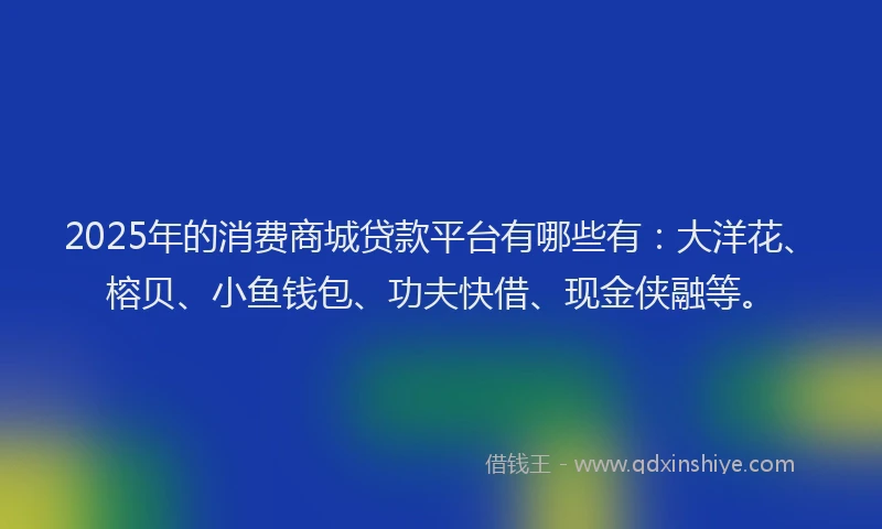 2025年的消费商城贷款平台有哪些有：大洋花、榕贝、小鱼钱包、功夫快借、现金侠融等。