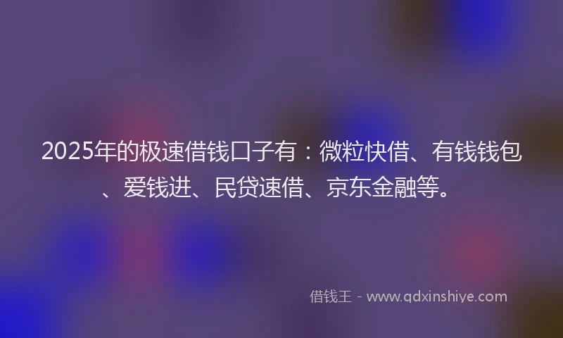 2025年的极速借钱口子有：微粒快借、有钱钱包、爱钱进、民贷速借、京东金融等。