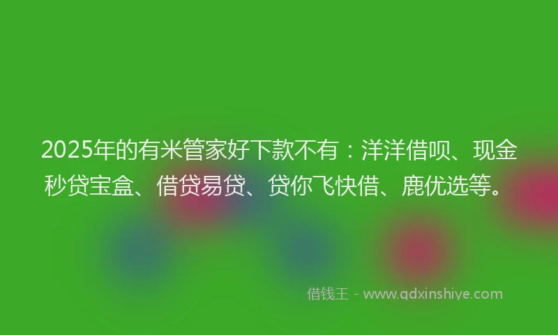 2025年的有米管家好下款不有：洋洋借呗、现金秒贷宝盒、借贷易贷、贷你飞快借、鹿优选等。