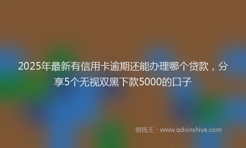 2025年最新有信用卡逾期还能办理哪个贷款，分享5个无视双黑下款5000的口子