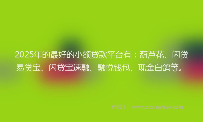 2025年的最好的小额贷款平台有：葫芦花、闪贷易贷宝、闪贷宝速融、融悦钱包、现金白鸽等。