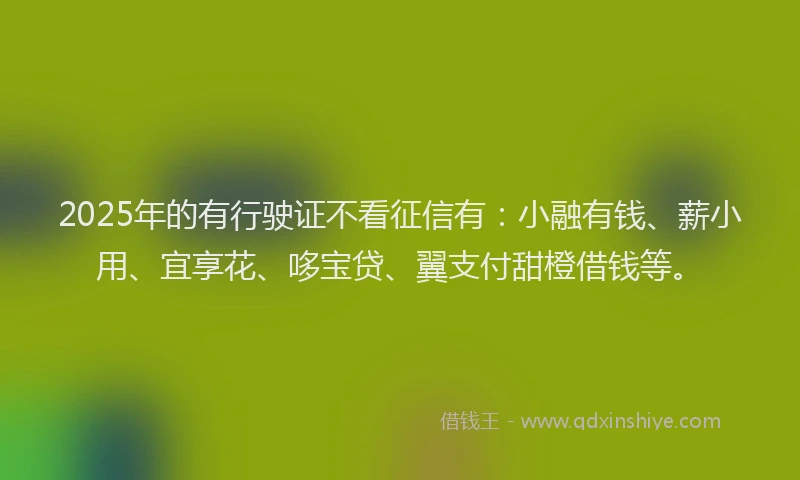 2025年的有行驶证不看征信有：小融有钱、薪小用、宜享花、哆宝贷、翼支付甜橙借钱等。