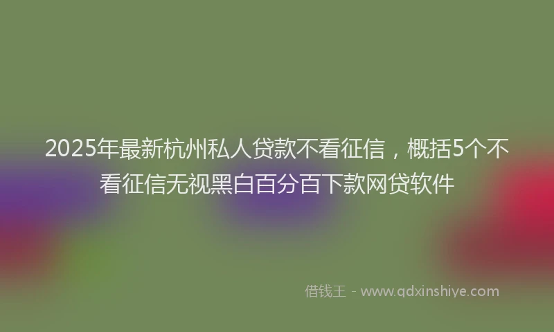 2025年最新杭州私人贷款不看征信，概括5个不看征信无视黑白百分百下款网贷软件