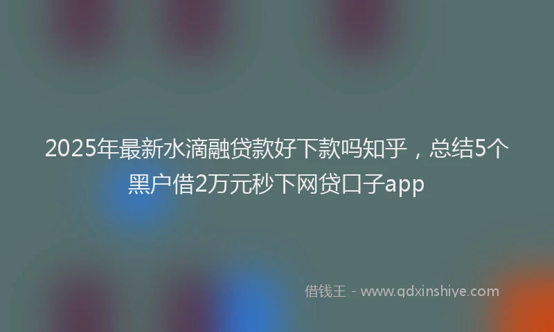 2025年最新水滴融贷款好下款吗知乎，总结5个黑户借2万元秒下网贷口子app