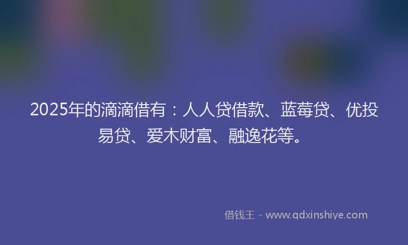 2025年的滴滴借有：人人贷借款、蓝莓贷、优投易贷、爱木财富、融逸花等。