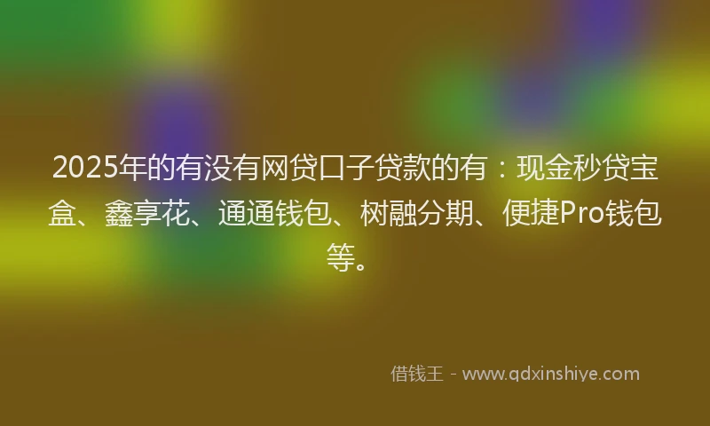 2025年的有没有网贷口子贷款的有：现金秒贷宝盒、鑫享花、通通钱包、树融分期、便捷Pro钱包等。