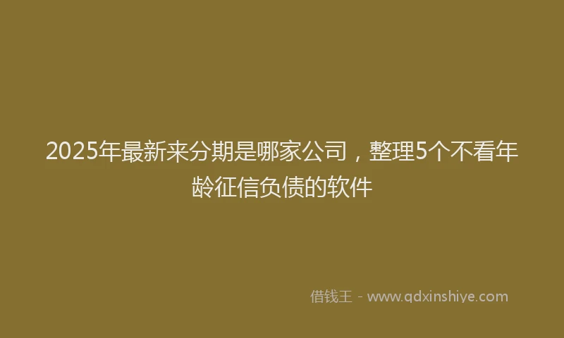2025年最新来分期是哪家公司，整理5个不看年龄征信负债的软件
