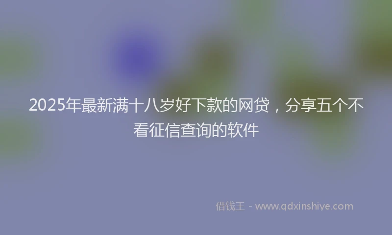 2025年最新满十八岁好下款的网贷，分享五个不看征信查询的软件
