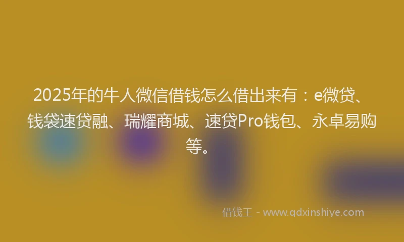 2025年的牛人微信借钱怎么借出来有：e微贷、钱袋速贷融、瑞耀商城、速贷Pro钱包、永卓易购等。