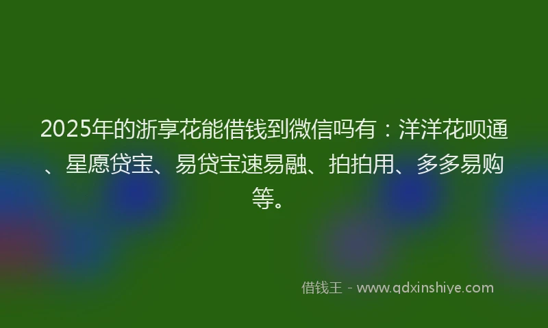 2025年的浙享花能借钱到微信吗有：洋洋花呗通、星愿贷宝、易贷宝速易融、拍拍用、多多易购等。
