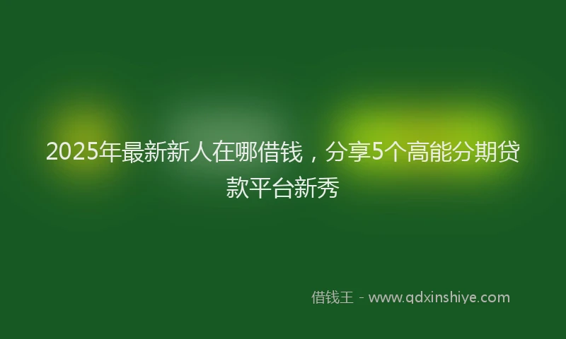 2025年最新新人在哪借钱，分享5个高能分期贷款平台新秀