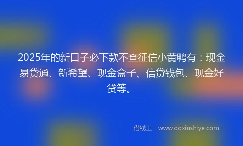 2025年的新口子必下款不查征信小黄鸭有：现金易贷通、新希望、现金盒子、信贷钱包、现金好贷等。
