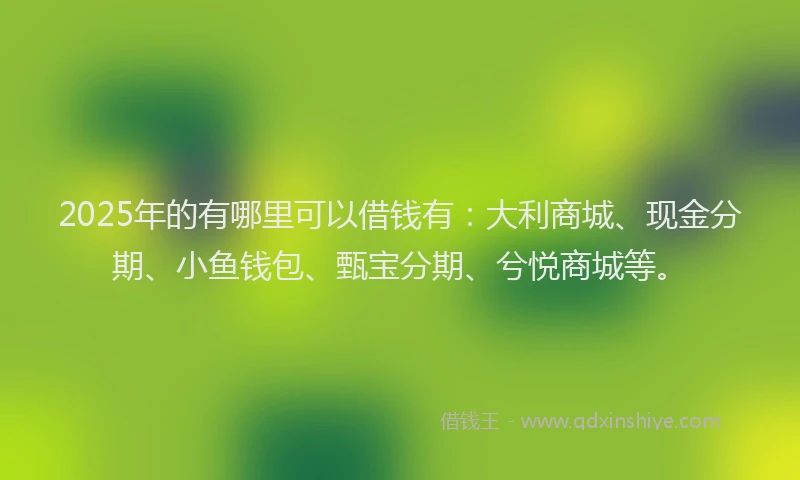 2025年的有哪里可以借钱有：大利商城、现金分期、小鱼钱包、甄宝分期、兮悦商城等。