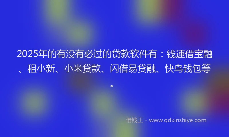 2025年的有没有必过的贷款软件有：钱速借宝融、租小新、小米贷款、闪借易贷融、快鸟钱包等。