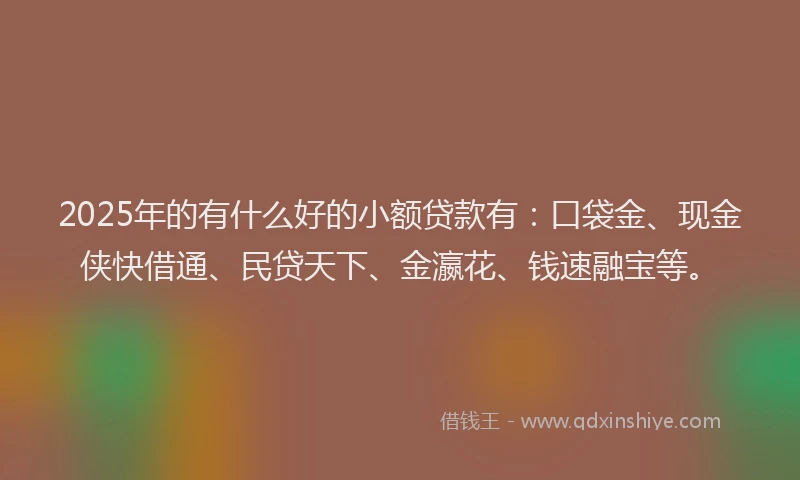 2025年的有什么好的小额贷款有：口袋金、现金侠快借通、民贷天下、金瀛花、钱速融宝等。