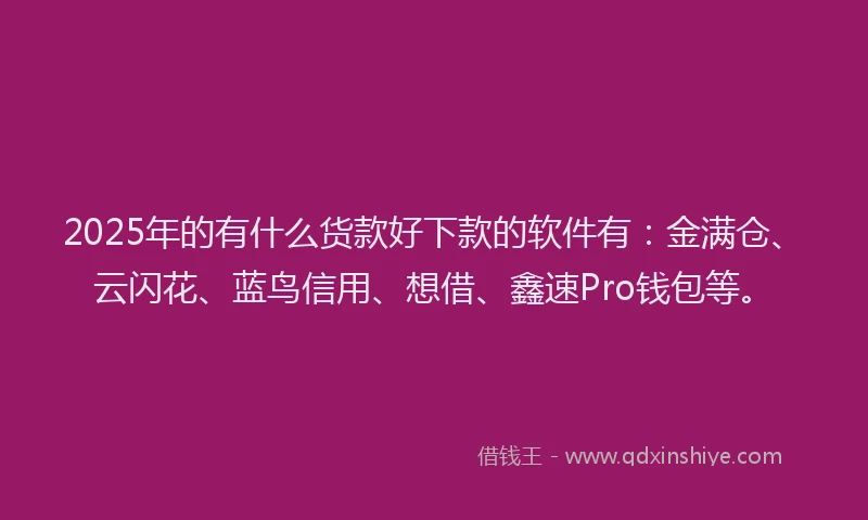2025年的有什么货款好下款的软件有：金满仓、云闪花、蓝鸟信用、想借、鑫速Pro钱包等。