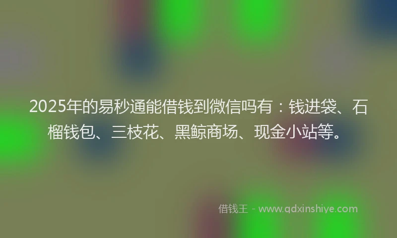 2025年的易秒通能借钱到微信吗有：钱进袋、石榴钱包、三枝花、黑鲸商场、现金小站等。
