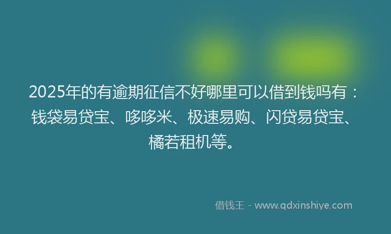 2025年的有逾期征信不好哪里可以借到钱吗有：钱袋易贷宝、哆哆米、极速易购、闪贷易贷宝、橘若租机等。