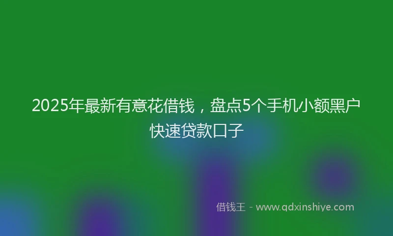 2025年最新有意花借钱，盘点5个手机小额黑户快速贷款口子