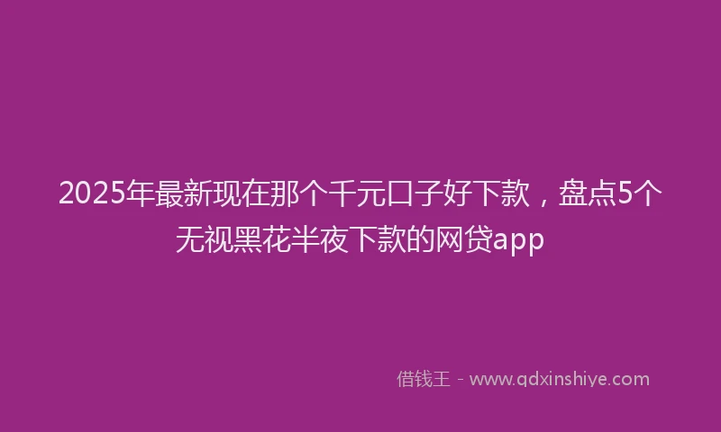 2025年最新现在那个千元口子好下款，盘点5个无视黑花半夜下款的网贷app