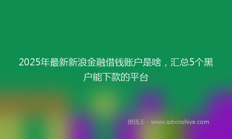2025年最新新浪金融借钱账户是啥，汇总5个黑户能下款的平台