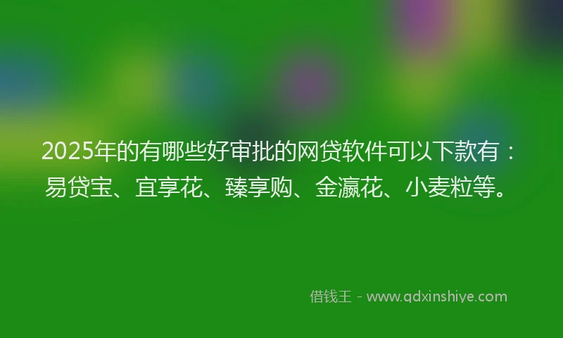 2025年的有哪些好审批的网贷软件可以下款有：易贷宝、宜享花、臻享购、金瀛花、小麦粒等。