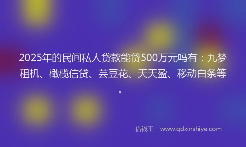 2025年的民间私人贷款能贷500万元吗有：九梦租机、橄榄信贷、芸豆花、天天盈、移动白条等。